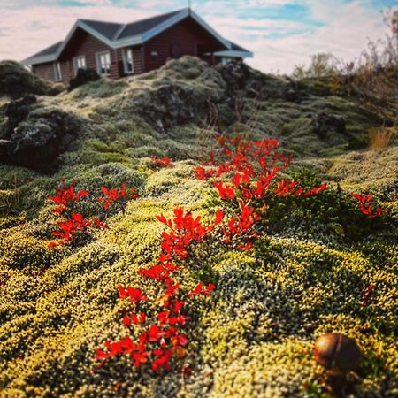 House In Lava Villa Borgarnes Eksteriør billede