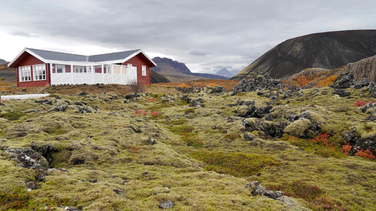 House In Lava Villa Borgarnes Eksteriør billede