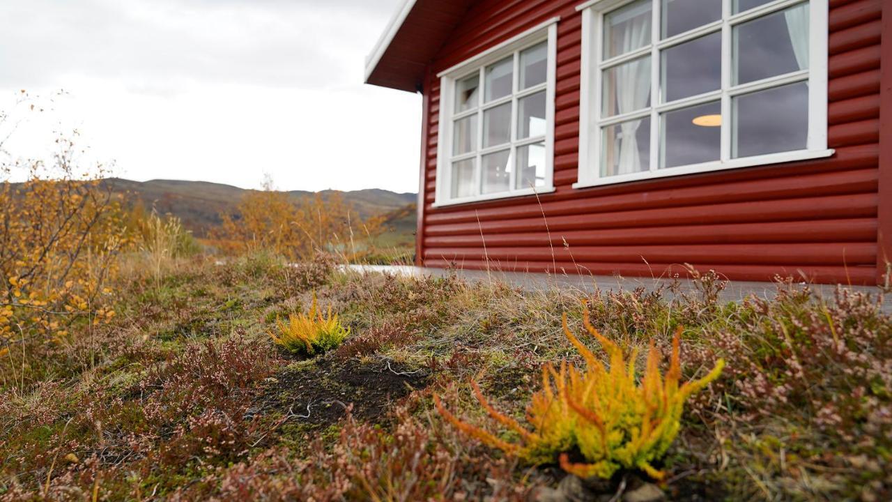 House In Lava Villa Borgarnes Eksteriør billede