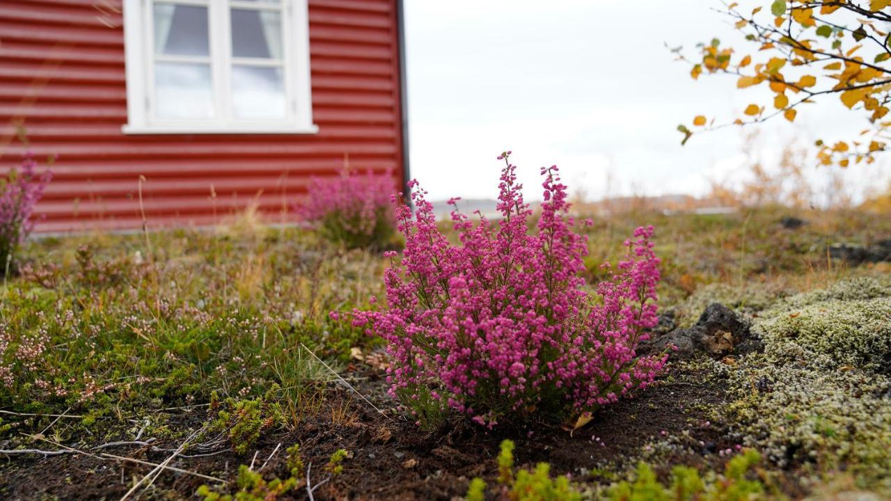 House In Lava Villa Borgarnes Eksteriør billede