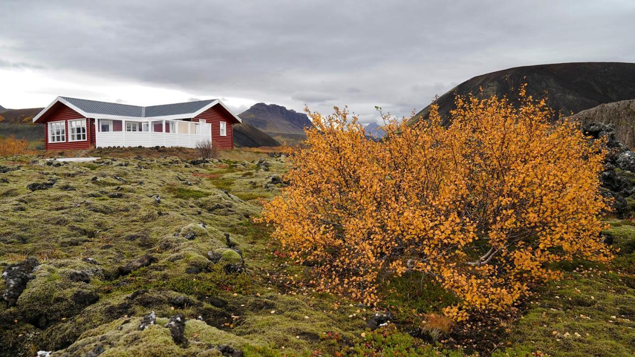 House In Lava Villa Borgarnes Eksteriør billede